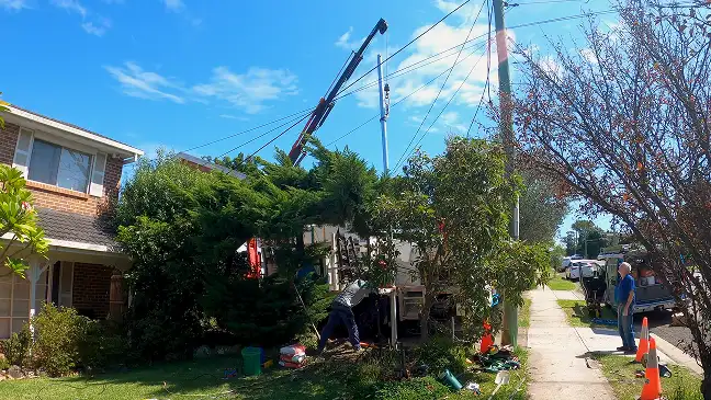 Request a Free Quote